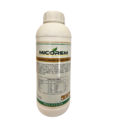 Micorem